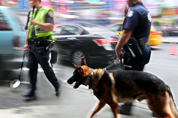ARMA Sécurité Gardiennage - Prévention chien démineur