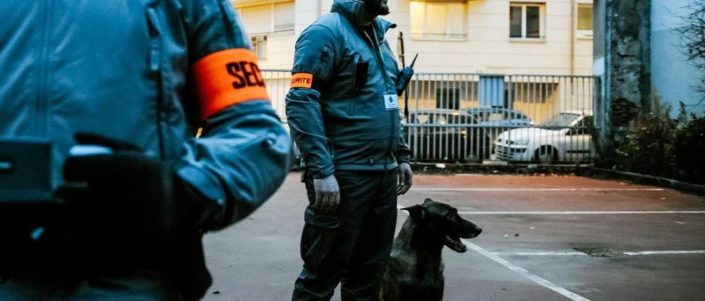 ezgif-1-85187433b1e8